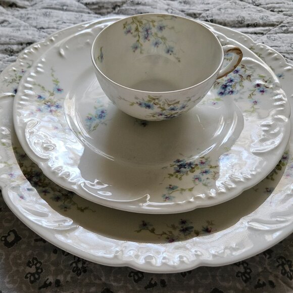 Theodore Haviland Limoge France 1890s Schleiger China - Picture 3 of 8